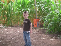 2010 Pumpkin Patch